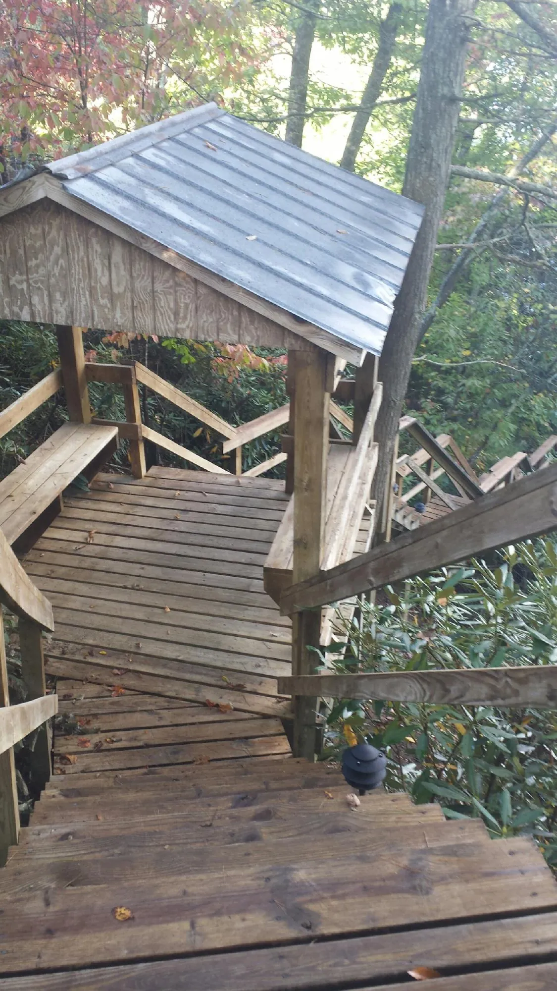 Metal roofed shelter over wooden steps on a wooded walkway — Skylight Repair & Installation work by our crew in Covington
